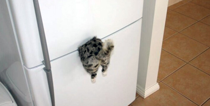Не пугайтесь, это вовсе не жертва своего любопытства и беспечности хозяев! Это магнит на холодильник "Застрявший котик"