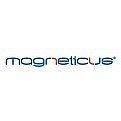 Товары Magneticus