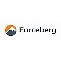 Товары Forceberg