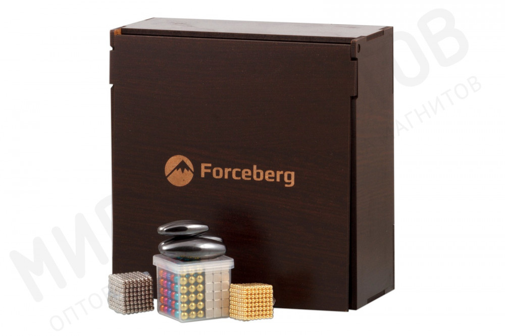 Подарочный набор кубов из магнитных шариков и кубиков Forceberg с магнитными цикадами в Уфе